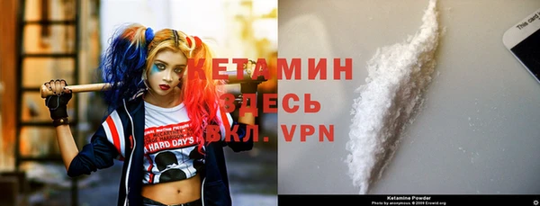 СК Новозыбков