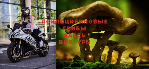 стафф Баксан