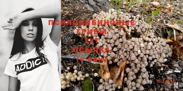 jwh Балабаново
