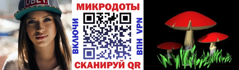 даркнет наркотические препараты  Северо-Курильск  Галлюциногенные грибы Magic Shrooms 